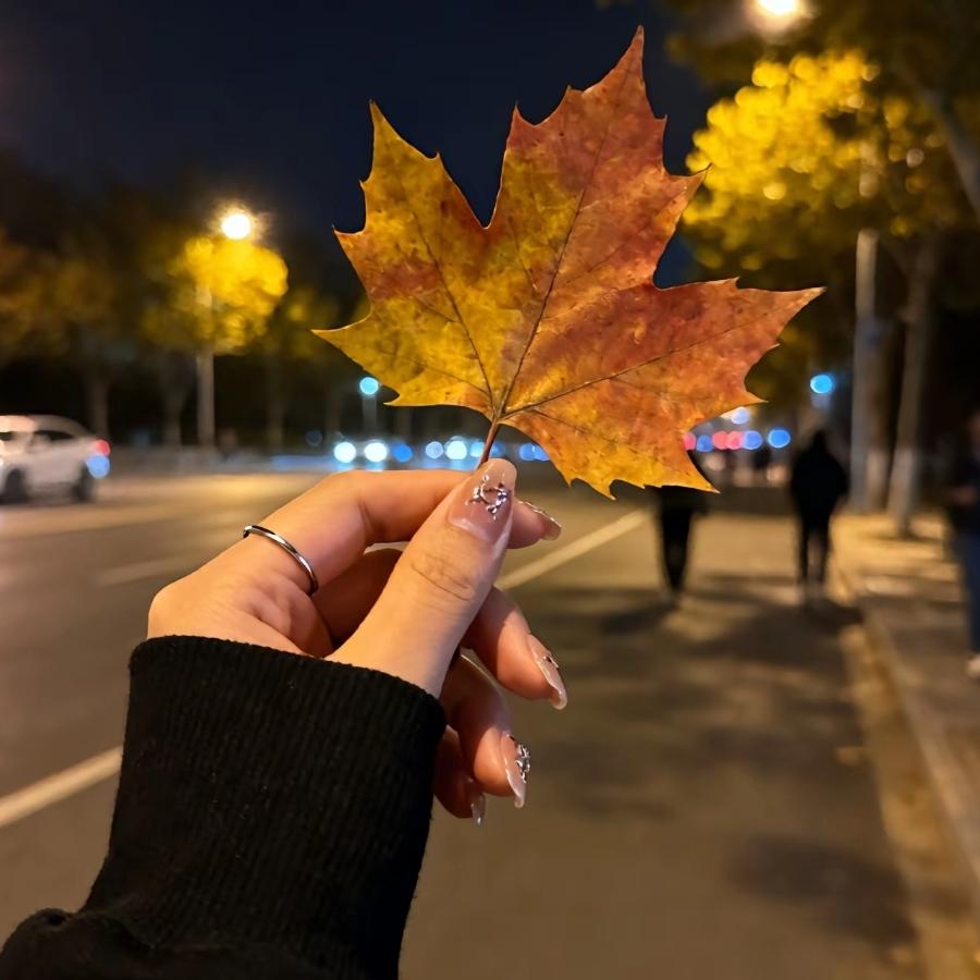 心莲心