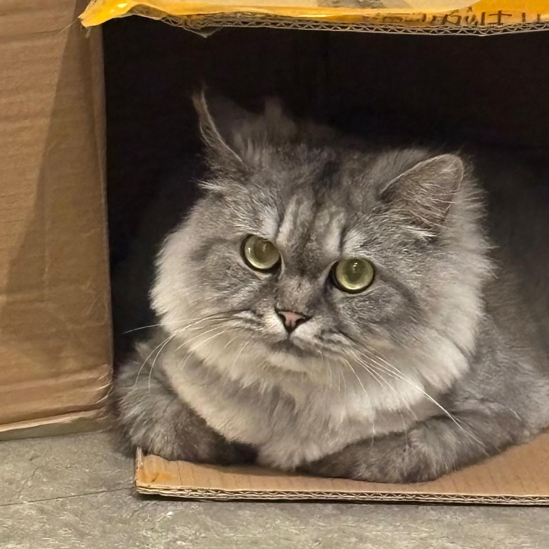 图南（求互关）