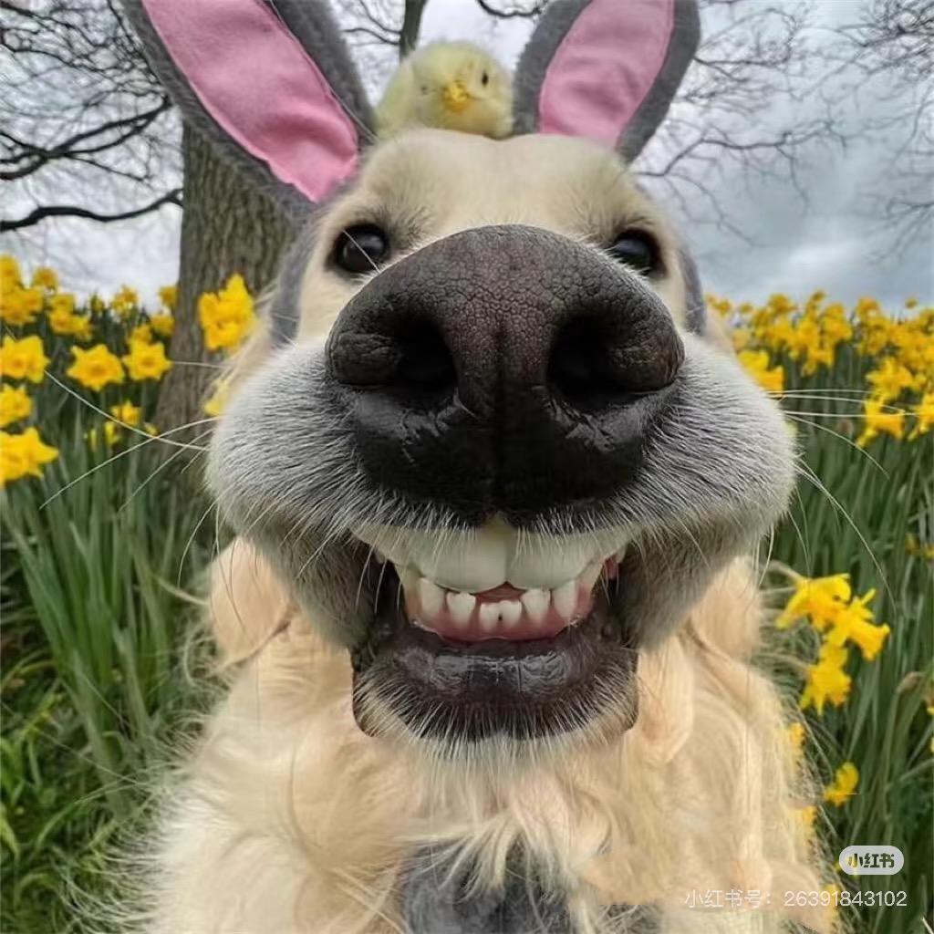 ಇ旺旺小仙ഒᩚ