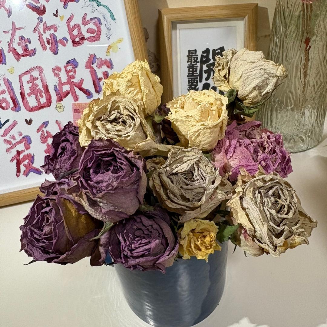 廊坊艺考加油站⛽️