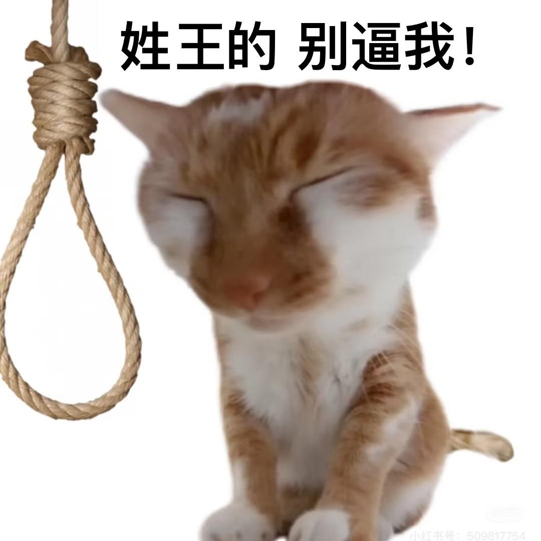 二婚老公是同