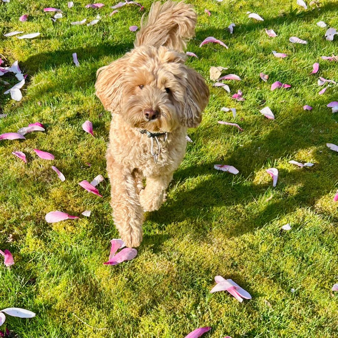 有点事分享专家