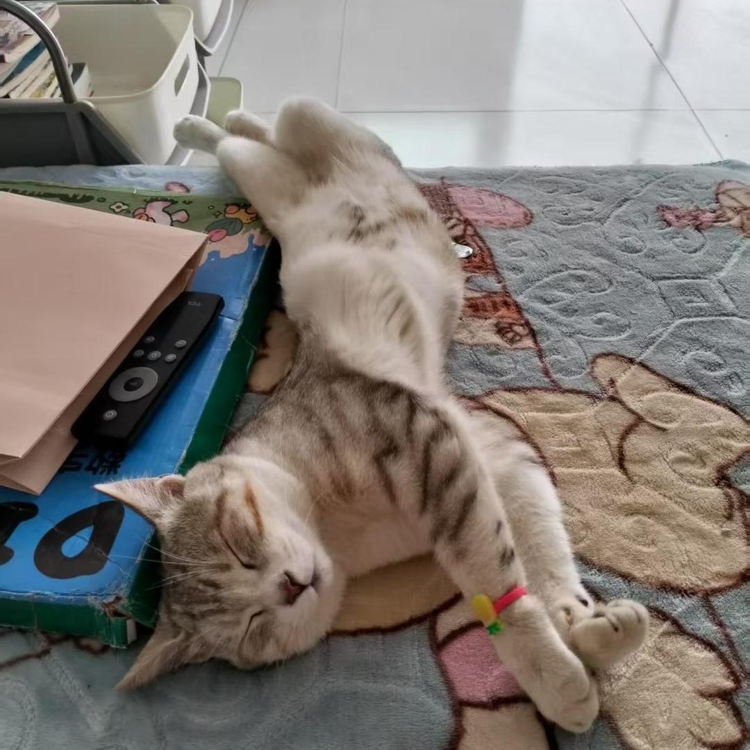 想怎么睡就怎么睡