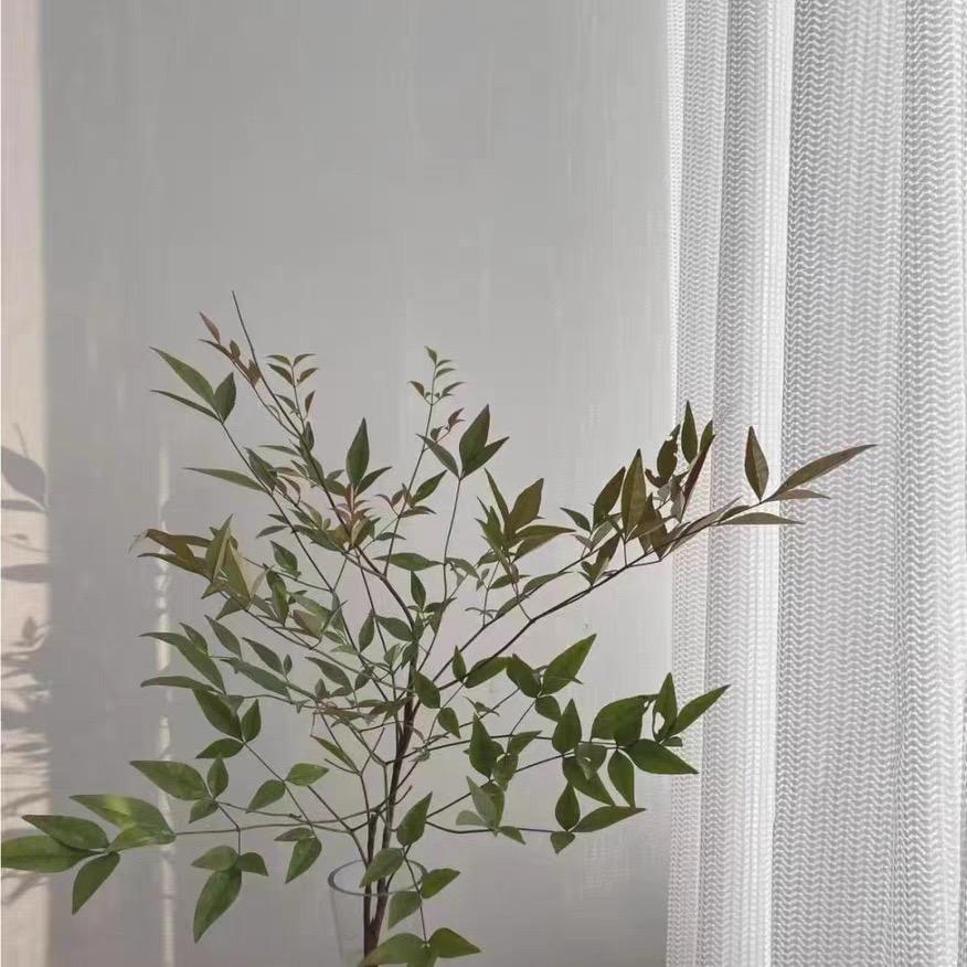 柯桥小海螺窗帘