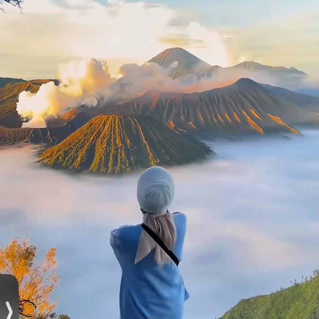 海棠雲涧