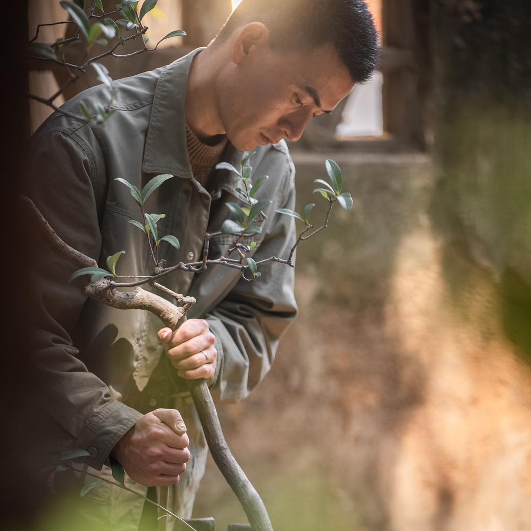 百花村荔枝树下