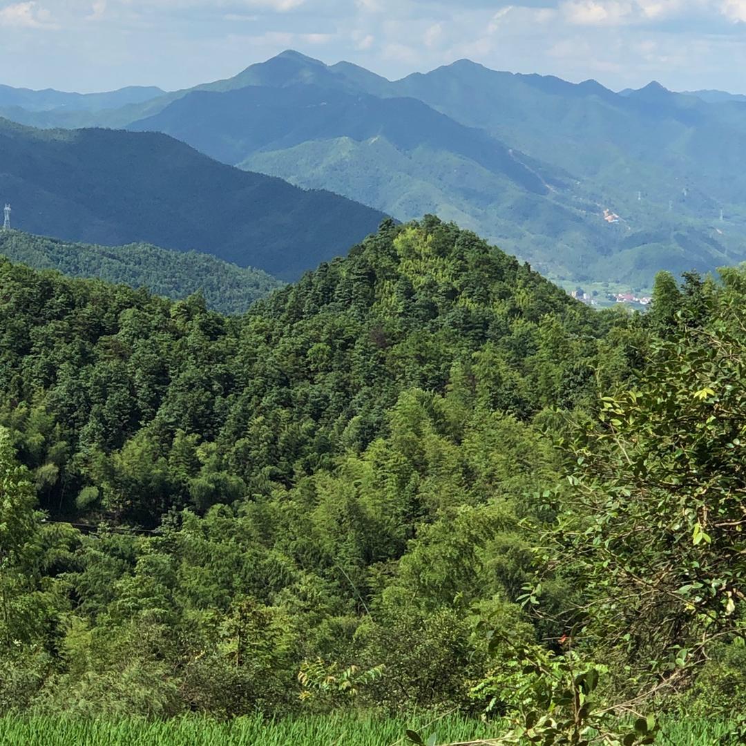 老刘观山水