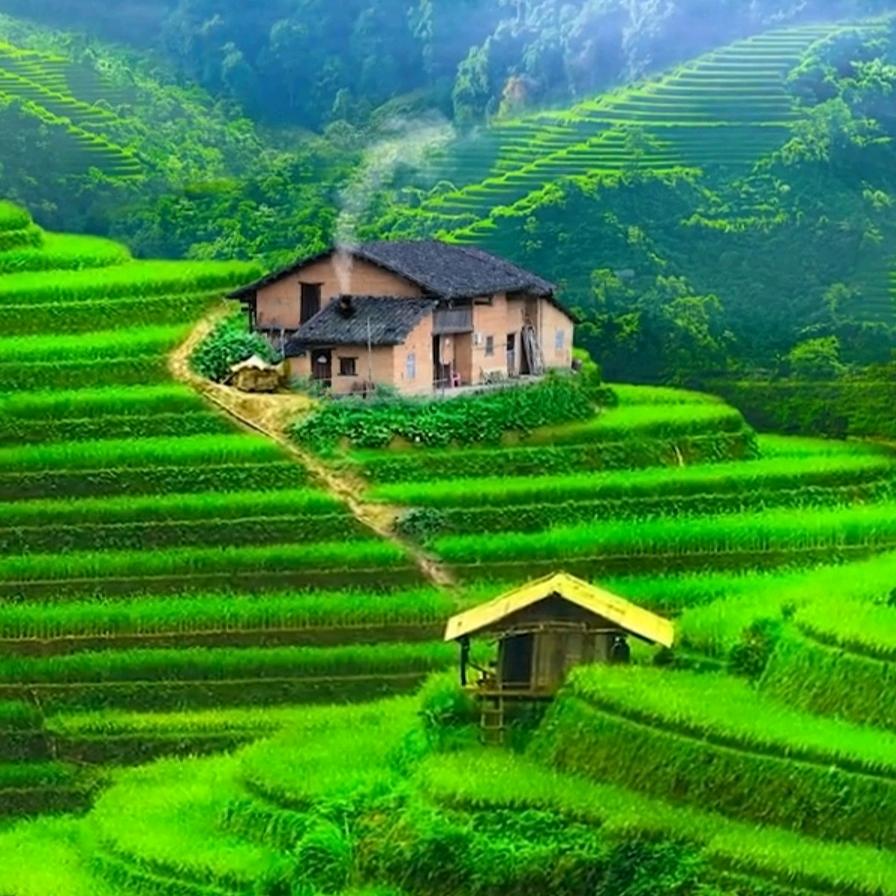 爱明天