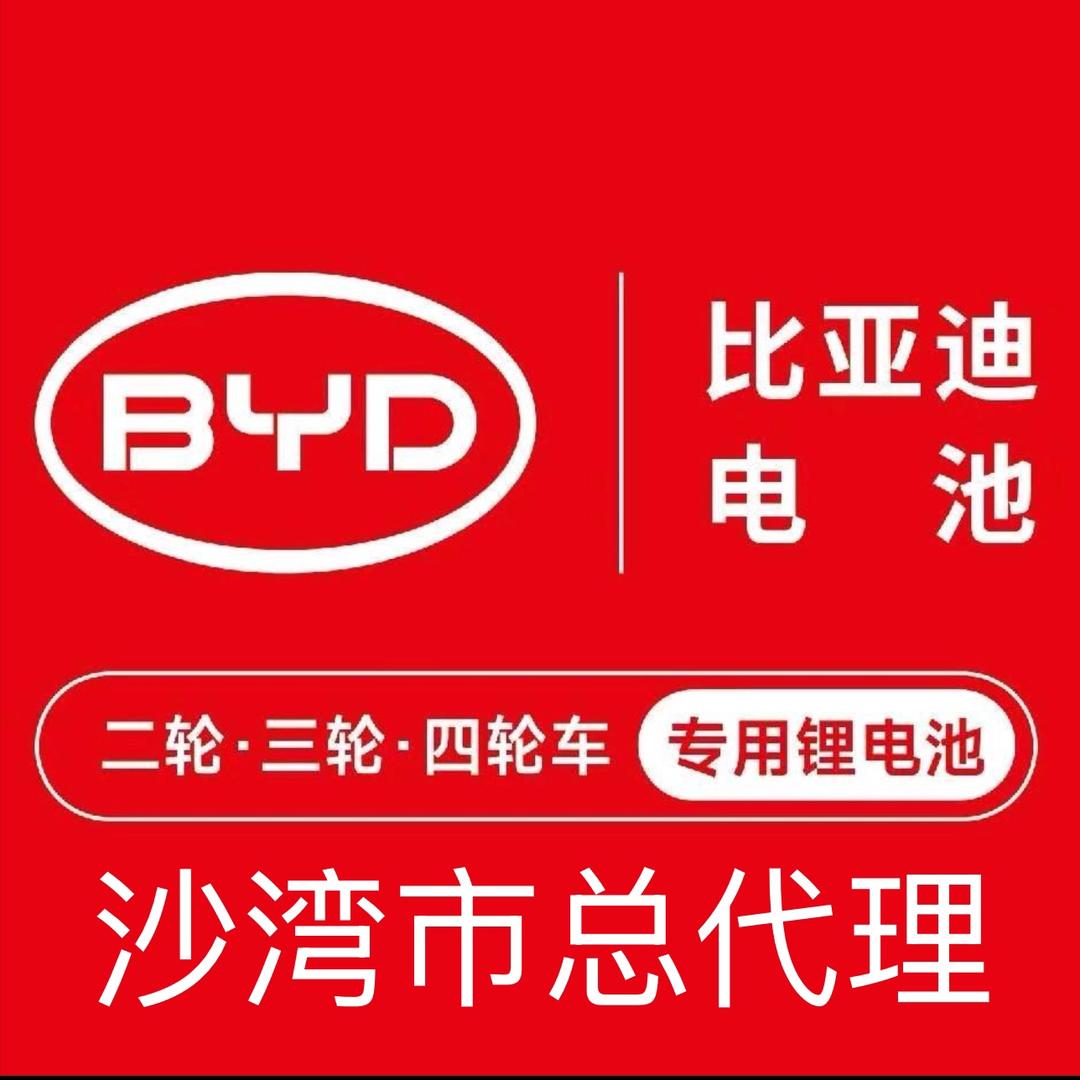 沙湾市比亚迪两轮三轮车锂电池