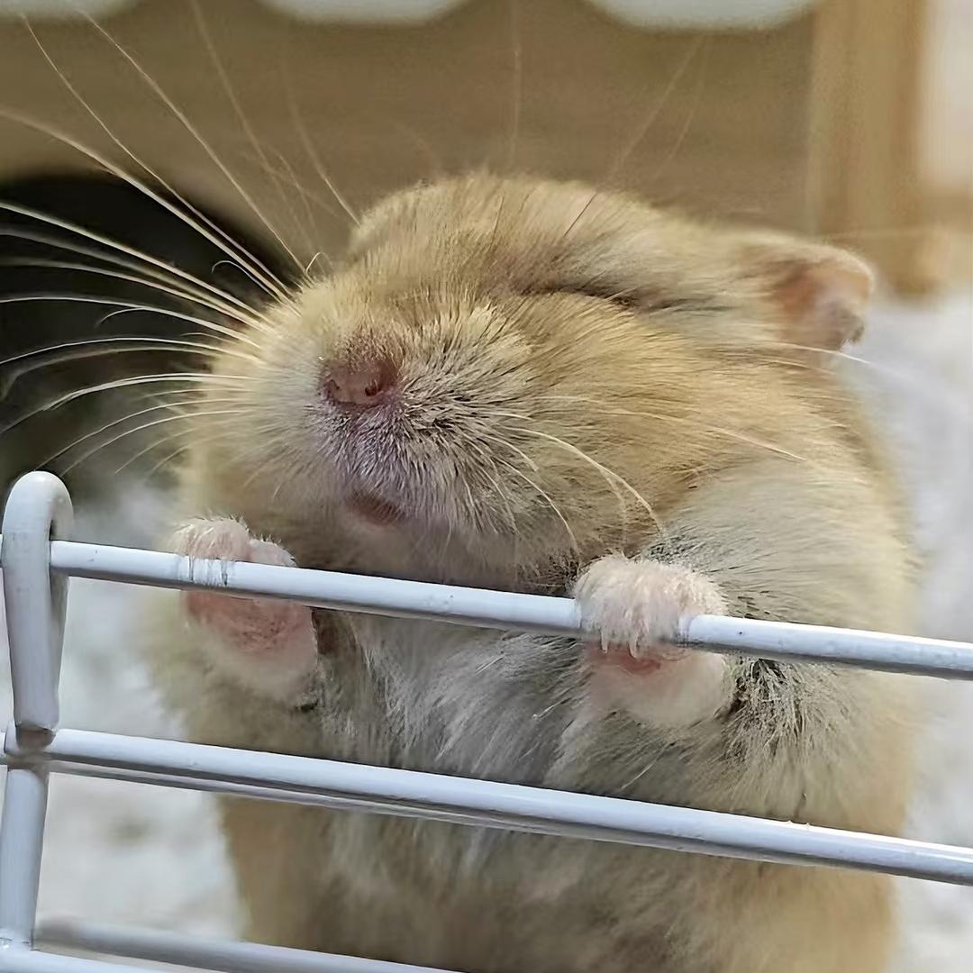 ☺️