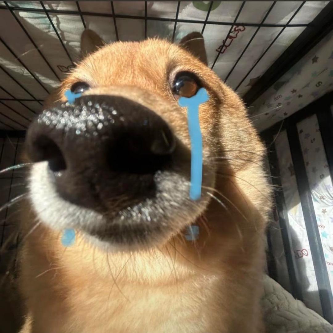 待会记得记得