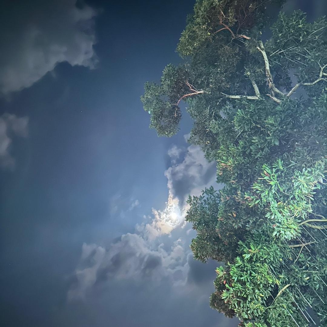 Zz🔝5️⃣的阳光☀️