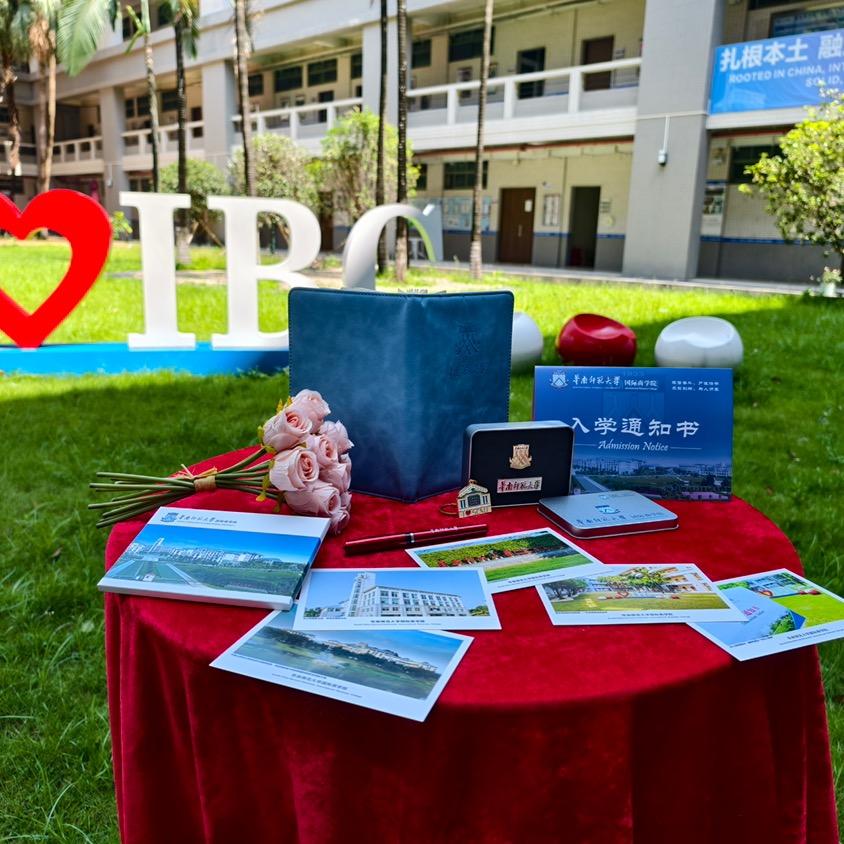 华师大国际本科李老师