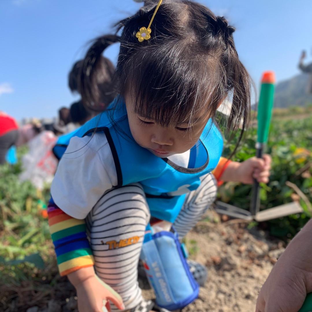 圣诞🎄果互关必回