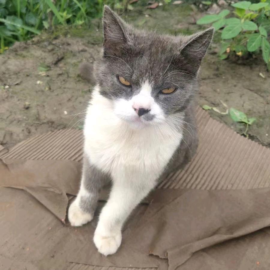 半城风雨半城晴