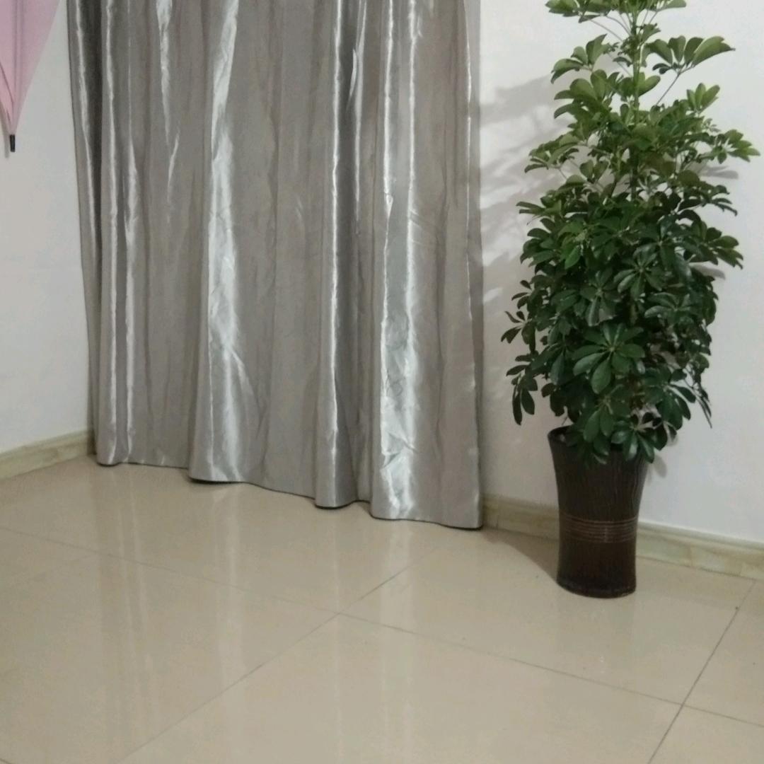 杨杨￥1Bauq28qPHKVIs%