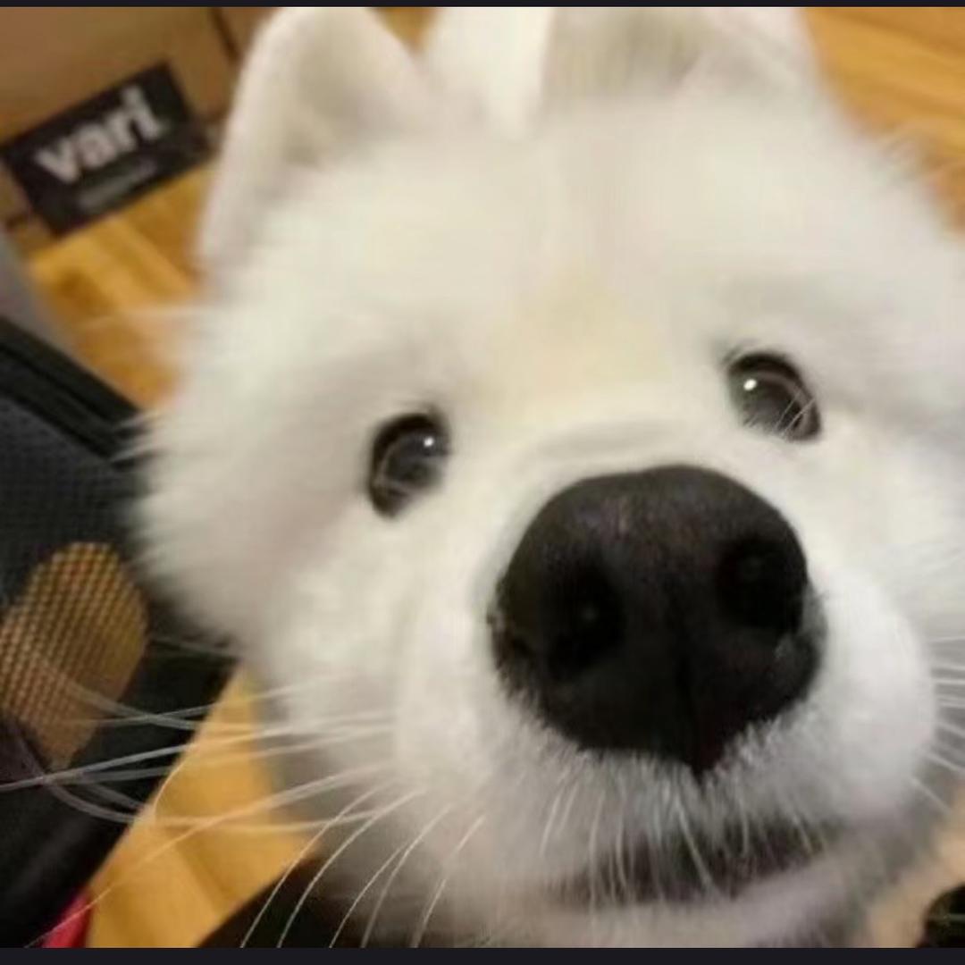 爱吃薯片