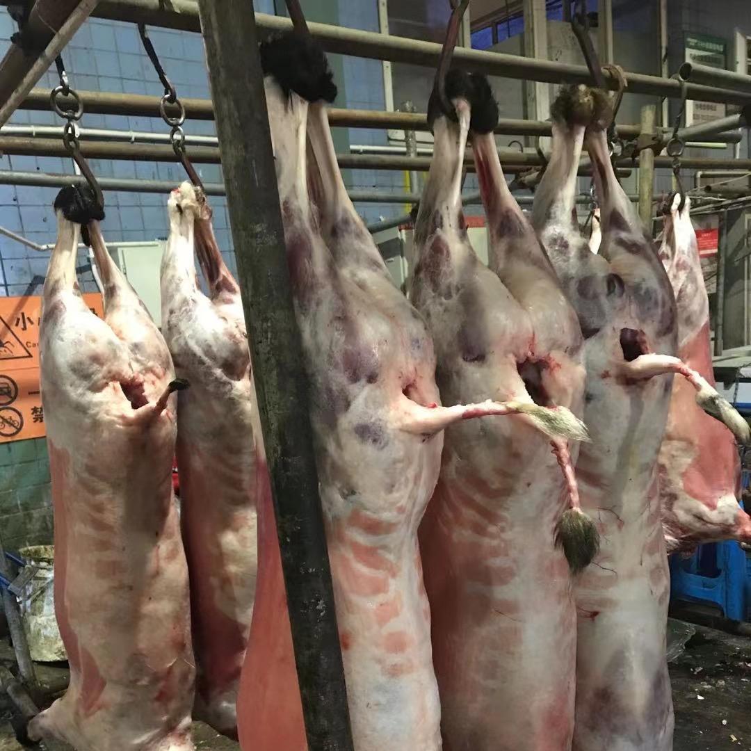 τ A东东生鲜牛羊肉（邛崃回龙）