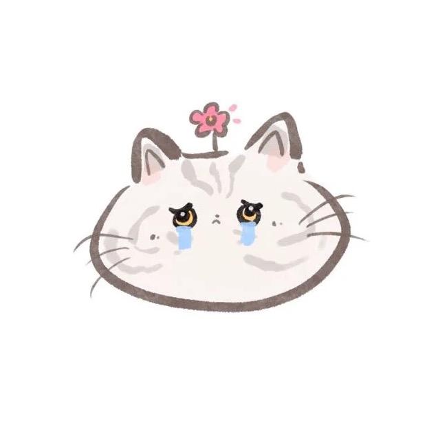 🐱猫猫说故事