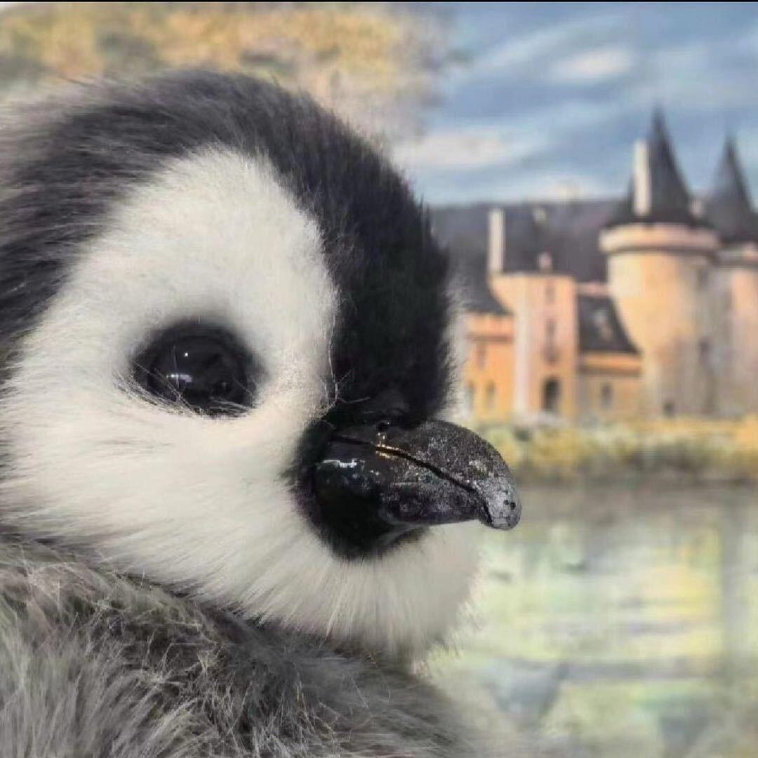 小白（三角洲行动）