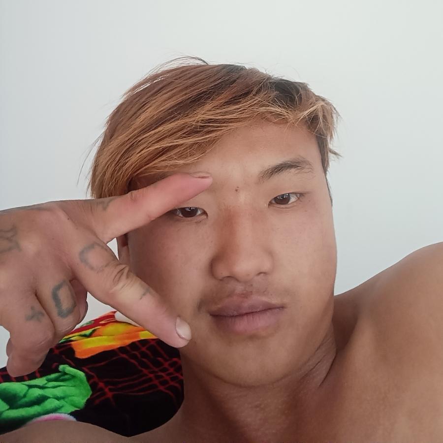 提总