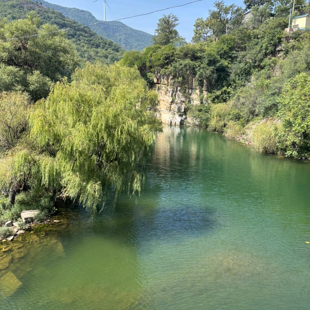 淄博曼滋瑙地板