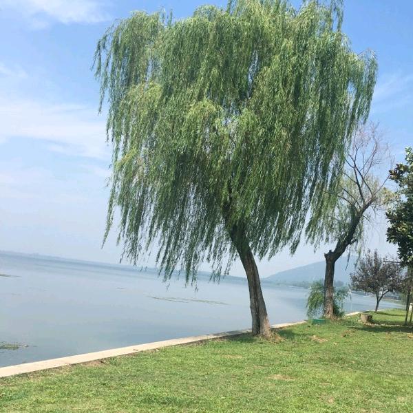 以后的以后