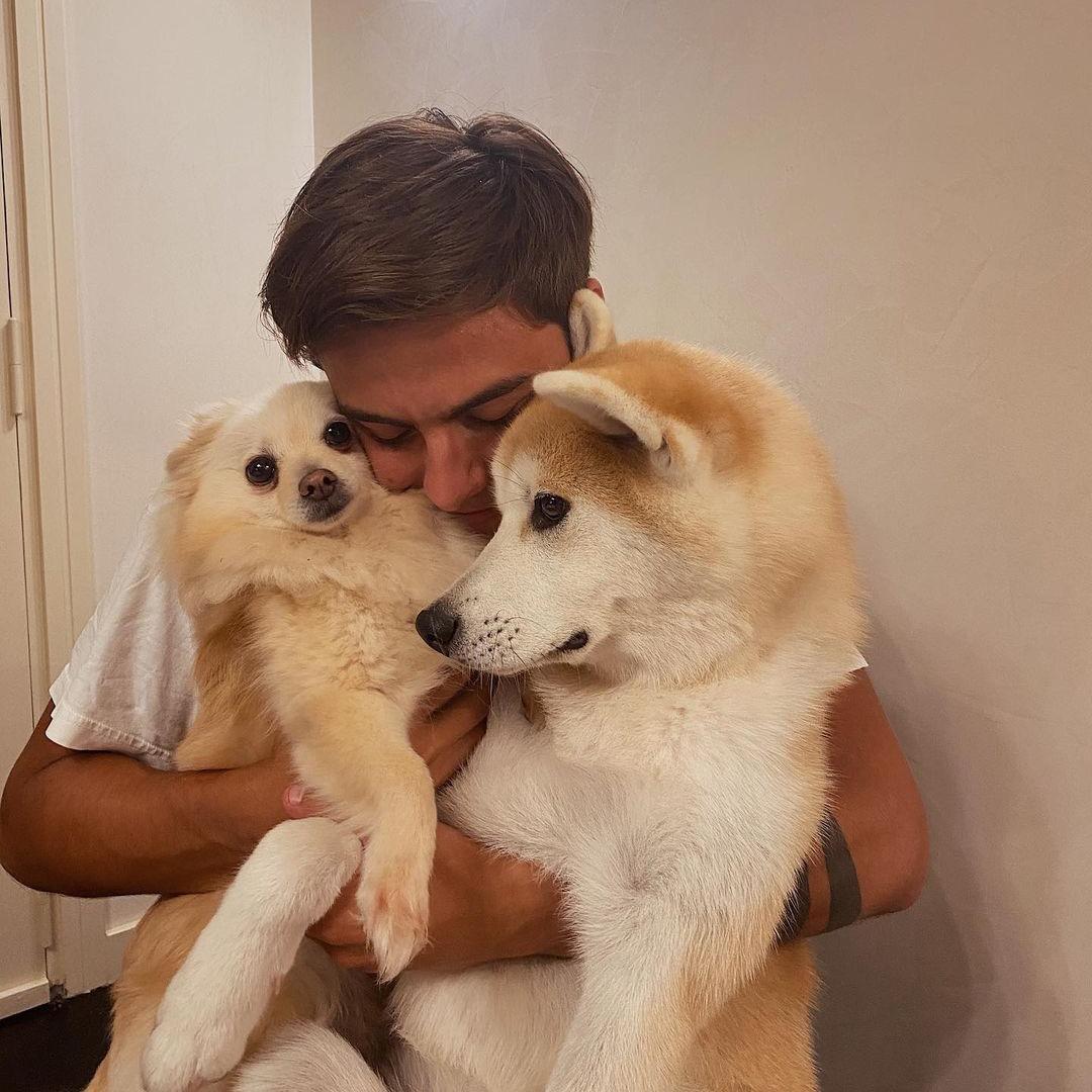 今天吃芒果了ma