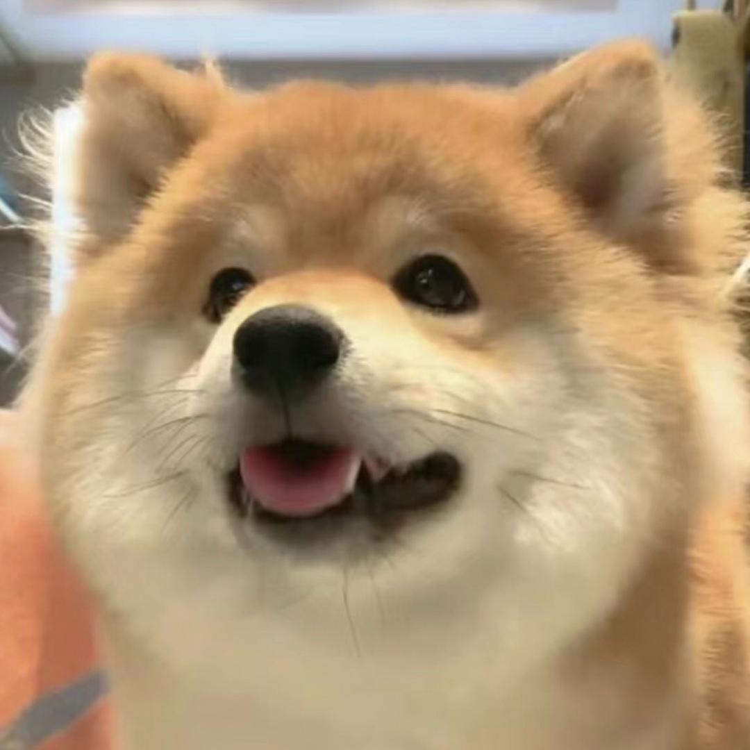 椰林飘香