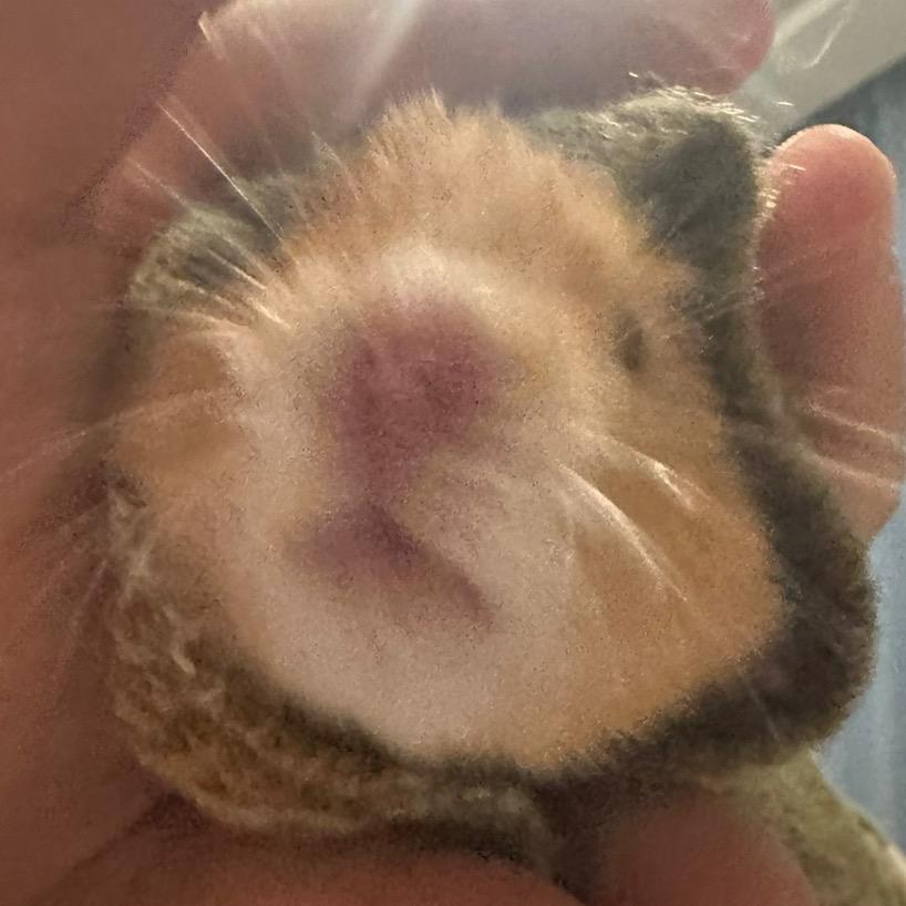 王小美宿舍历险记