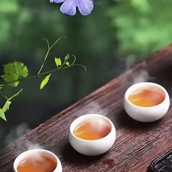 薯属鼠