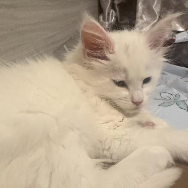 顺兴五金手工加工店顺兴五金手工加工店的直播号3