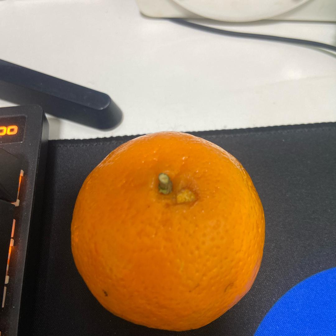 橘子🍊、