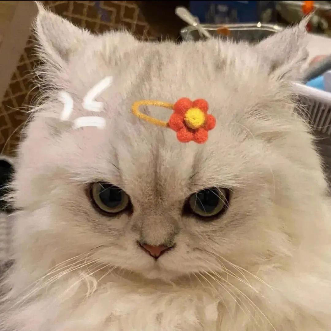 二狗想要个工作