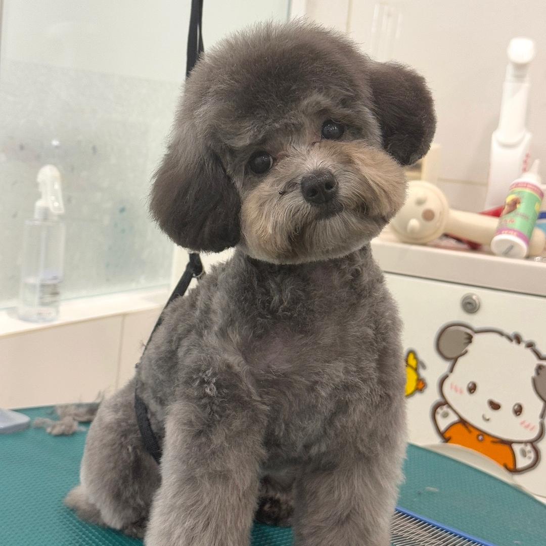 年糕和可乐
