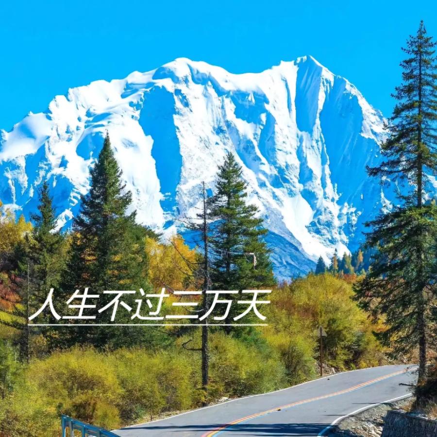 🗣小张