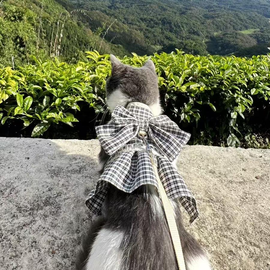 天亮就出发