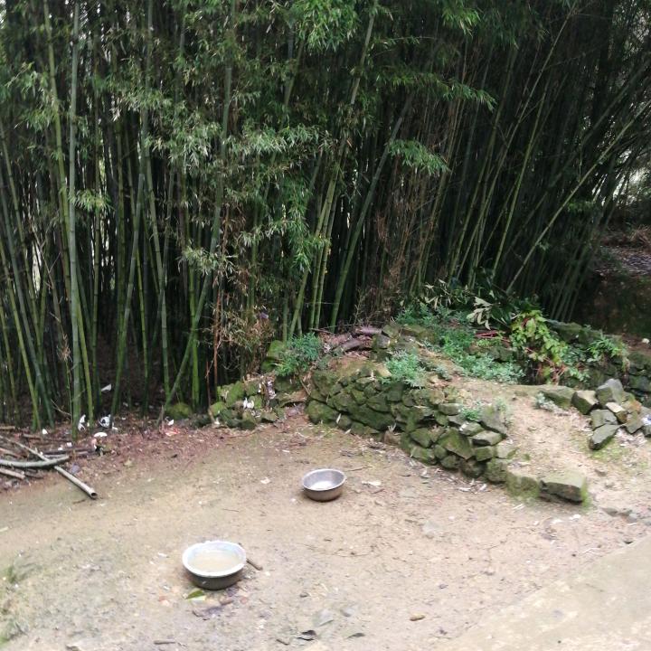 用户2121479862211贵州，织金