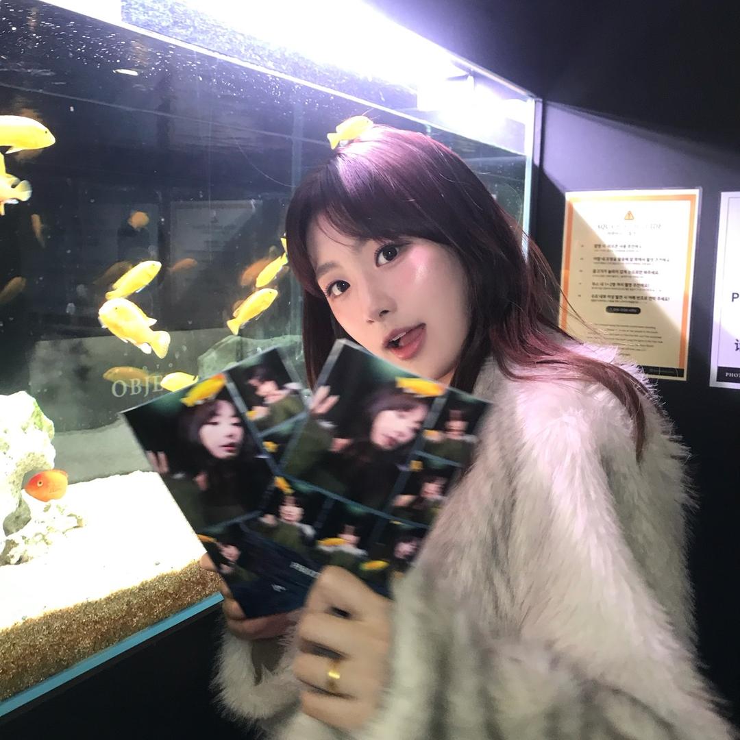 小团爱塔塔🔮