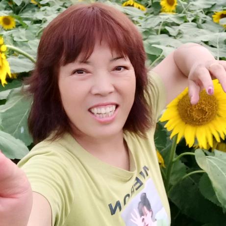 太阳(晚上8:30开播)