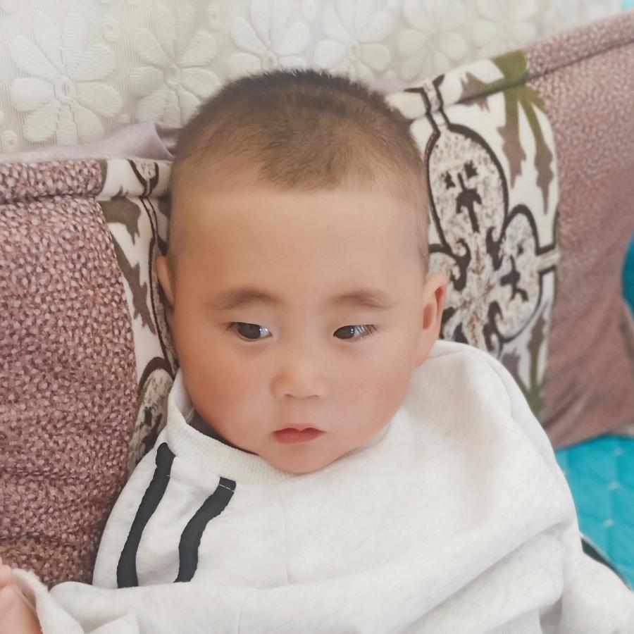 王昭君