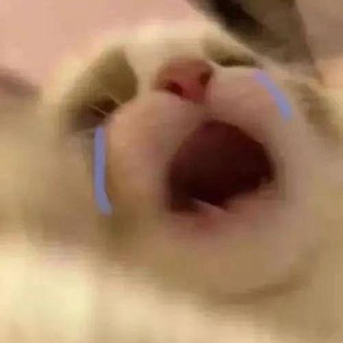 明天再说（招生中）