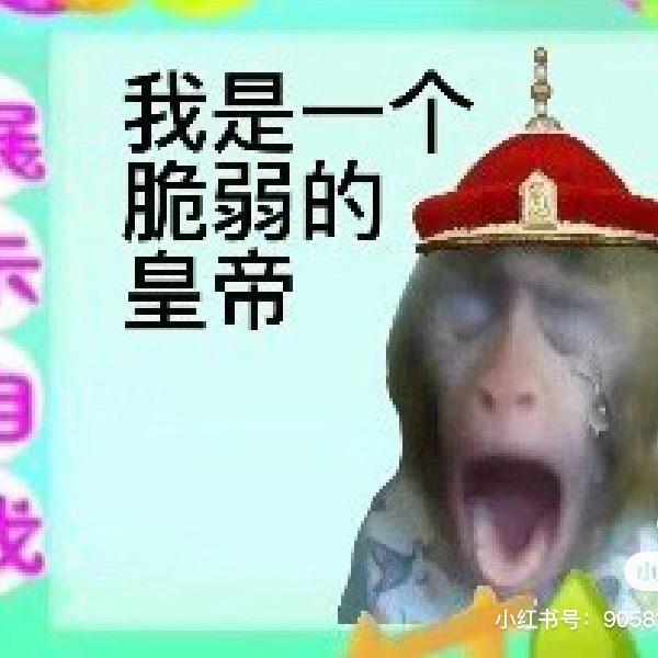 一条流浪狗ㅠㅠ