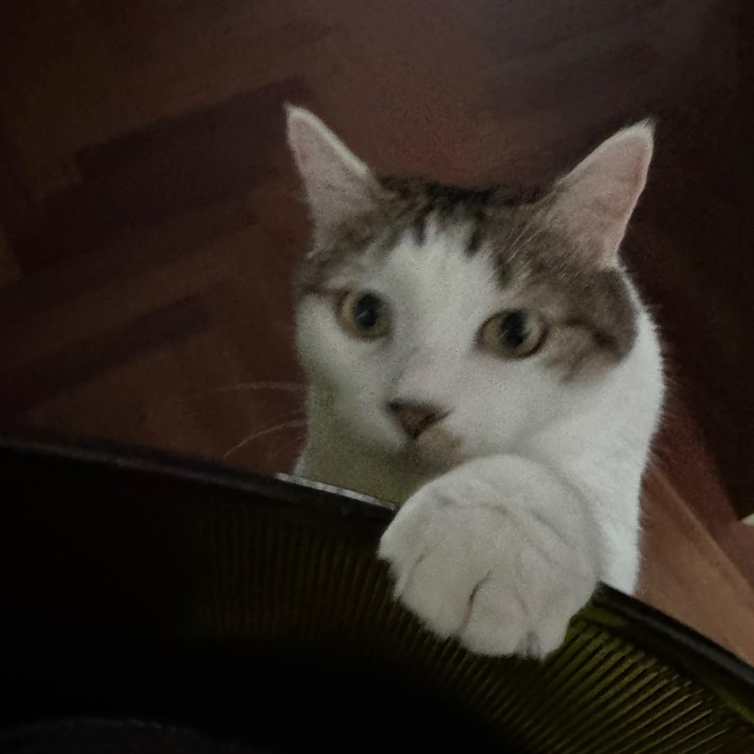 摄影小杨的影像碎片