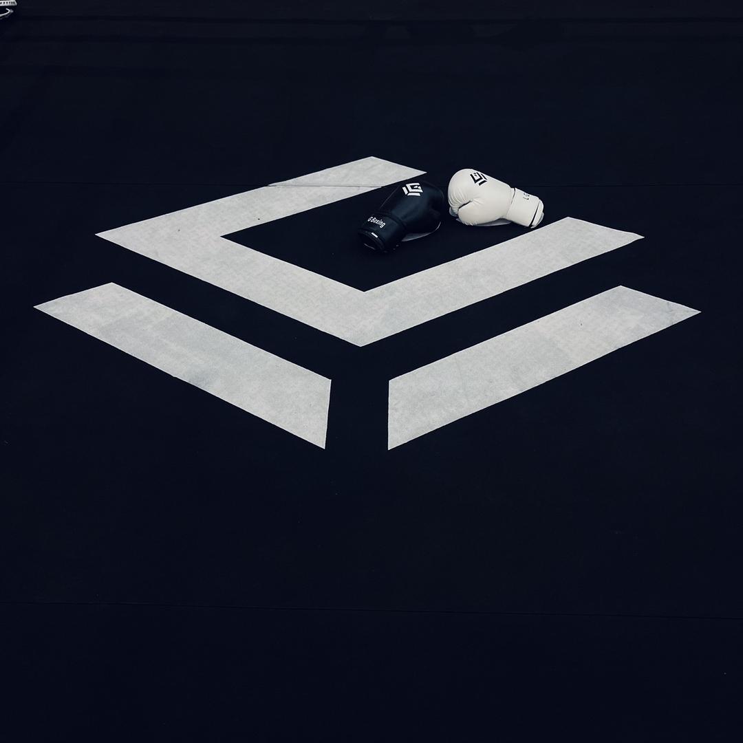 L•G Boxing