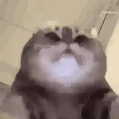 大老粗最爱打野