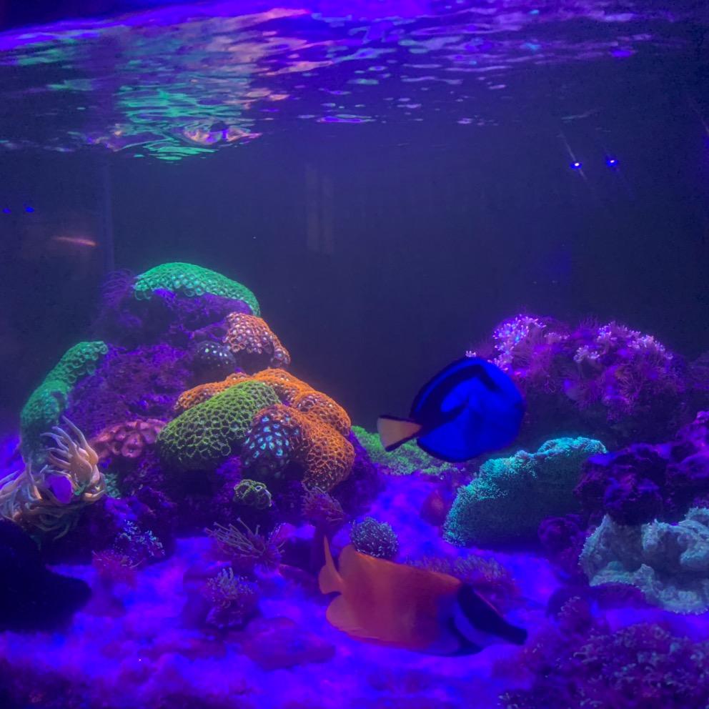 境海水族