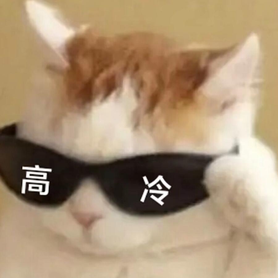 高冷喵