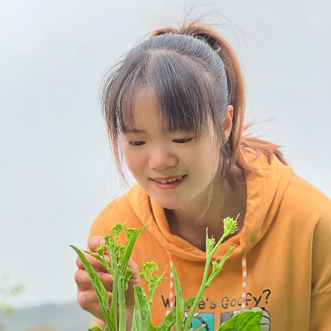 小坤梅