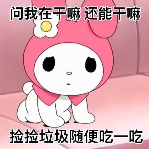 檐崽的事你少管